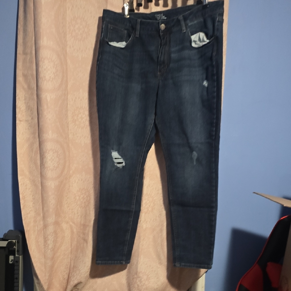 Time and Tru Dark Blue Distressed Ankle Jeans